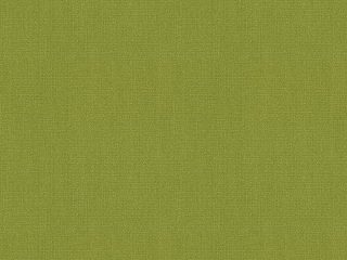 Solids Macao 3738 Solids Macao 3738