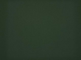 Orchestra Olive 0853