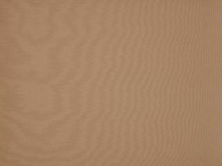 Orchestra Toast 8891