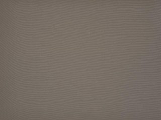 Orchestra Max Taupe 7559 Orchestra Max Taupe 7559