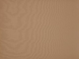 Orchestra Max Toast 8891 Orchestra Max Toast 8891