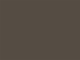 TAUPE EVO LIGHT 0201 TAUPE EVO LIGHT 0201