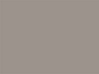 GRIS EVO LIGHT 0202 GRIS EVO LIGHT 0202