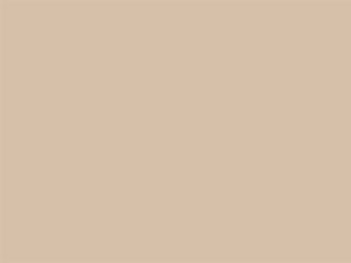 BEIGE EVO LIGHT 0204 BEIGE EVO LIGHT 0204