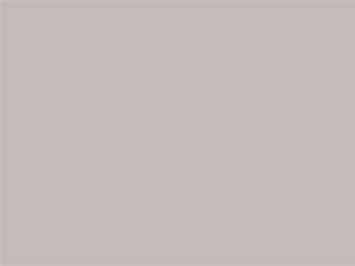 SILVER/GREY EVO LIGHT 0207 SILVER/GREY EVO LIGHT 0207