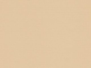 CHAMPAGNE (M711) CHAMPAGNE (M711)