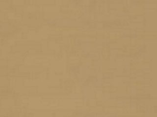 COOKIE (M718) COOKIE (M718)