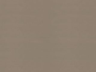 TAUPE (M719) TAUPE (M719)