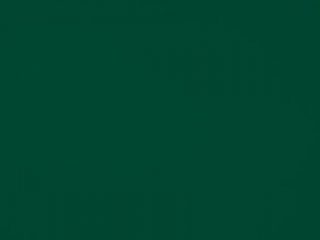 Forest Green – 5040