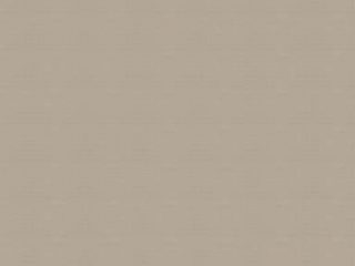 Parchment Tweed – P040