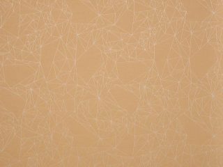 Opera Constellation  Curry J177 Opera Constellation  Curry J177