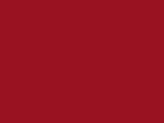 Dicoplan 7446 (RAL 3002) Dicoplan 7446 (RAL 3002)