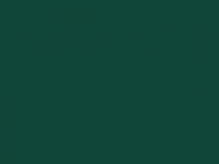 Dicoplan 7451 (RAL 6005) Dicoplan 7451 (RAL 6005)