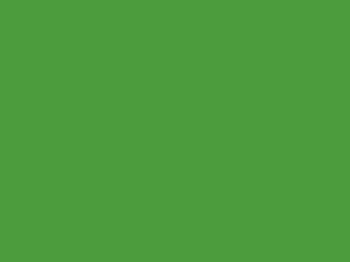 Dicoplan 7452 (RAL 6018) Dicoplan 7452 (RAL 6018)