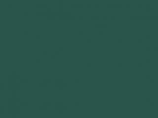 Dicoplan 7454 (RAL 6028) Dicoplan 7454 (RAL 6028)