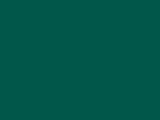 Dicoplan 995 (RAL 6026) Dicoplan 995 (RAL 6026)