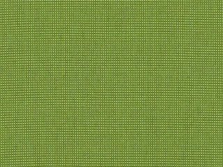 ben 10167 140 bengali bamboo