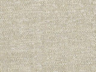 cha j192 140 chartres lichen