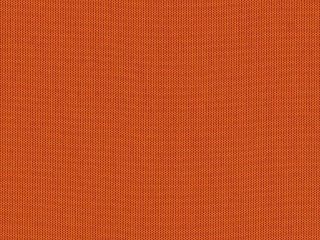 sja 3969 137 pumpkin